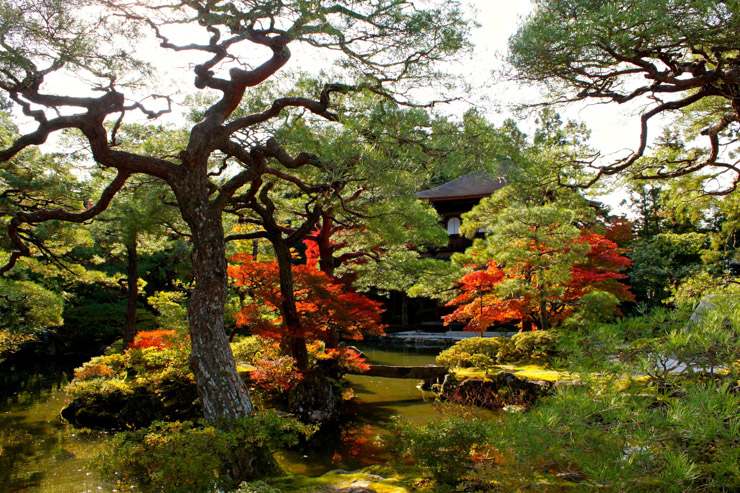 Splendide dégradé d’automne dans le parc du Silver Temple  | © Aurélie Morin