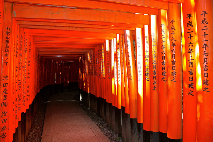 Perspective de Toriis - Sanctuaire Fushimi Inari-Taisha | © Aurélie Morin
