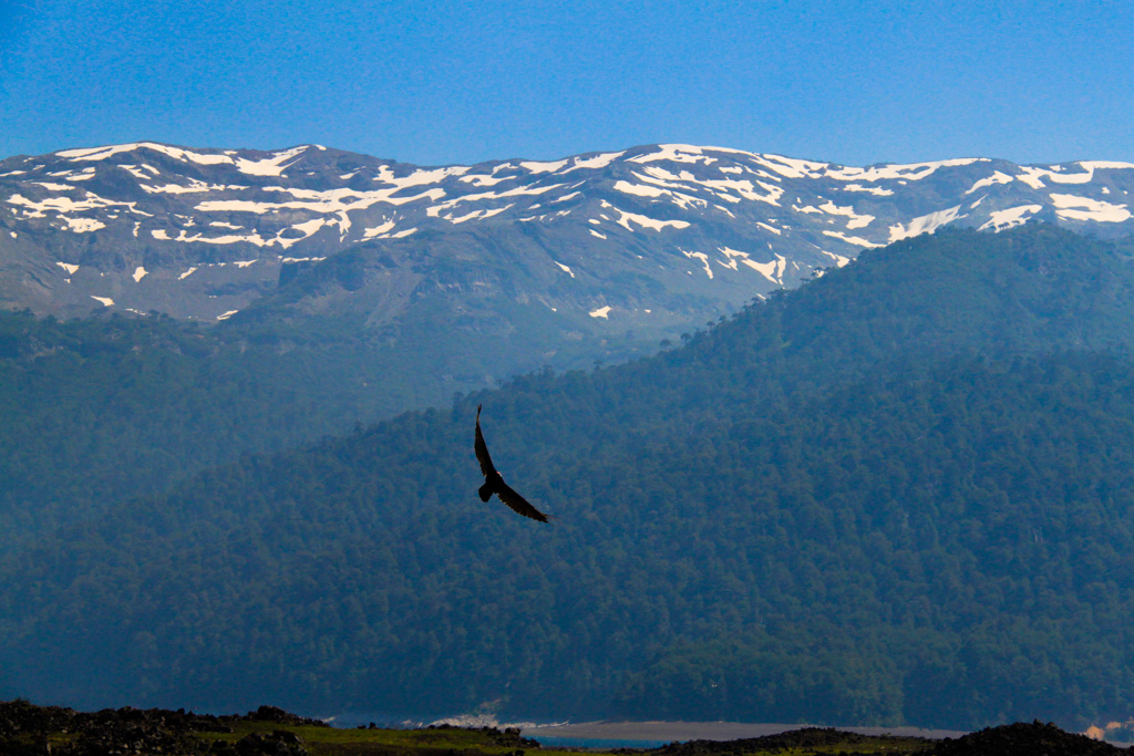 Danse du Condor | © Cédric Aubert 