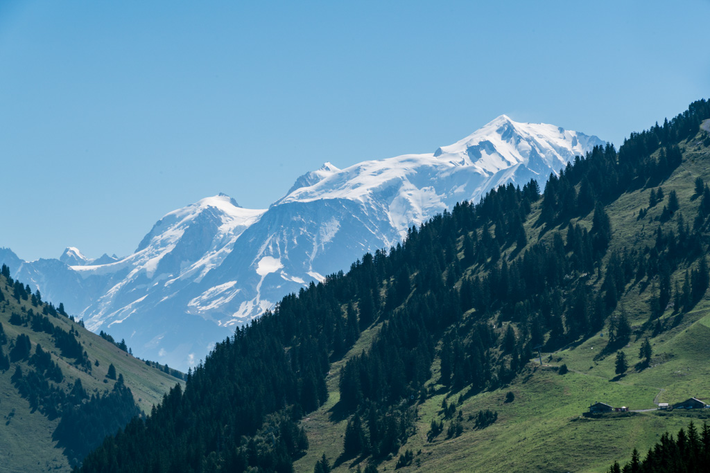 Pendant l’été, le Chef proposera à ses hôtes de l’accompagner pendant ses cueillettes matinales