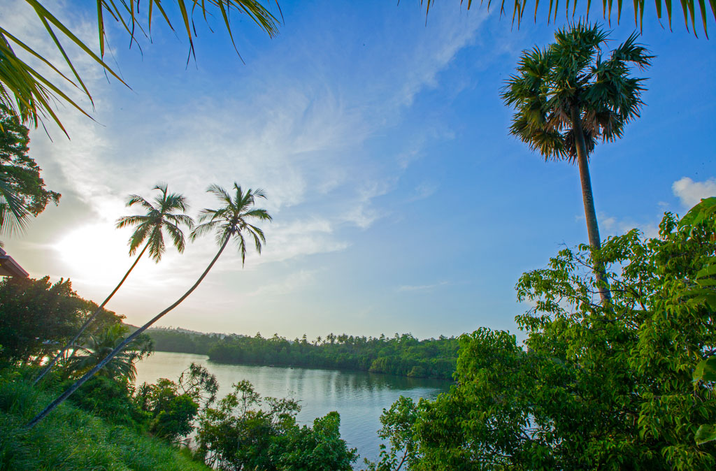 Tout autour, les paysages sauvages du sud du Sri Lanka