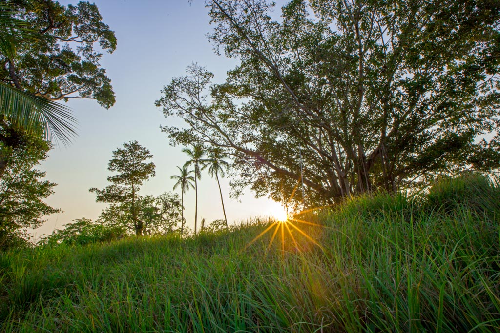 Tout autour, les paysages sauvages du sud du Sri Lanka