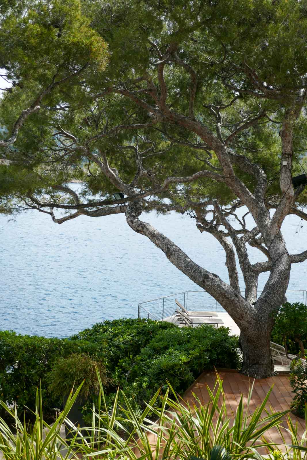 Les Roches Blanches, un hôtel en bord de plage © PG