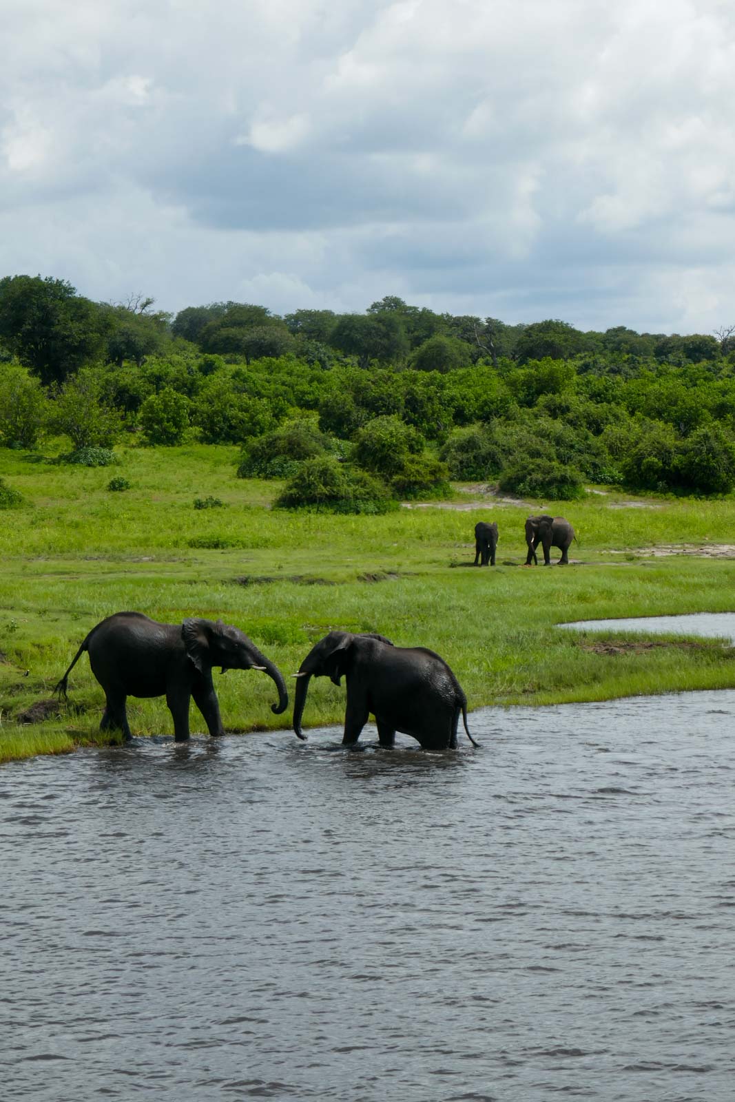 Parc de Chobé © Pierre Gunther