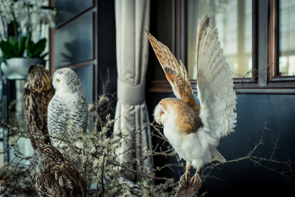 Trianon Palace Versailles x Maison Deyrolle - Noël 2016