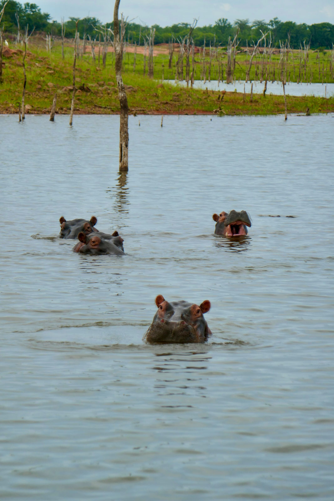 Lac Kariba © PG