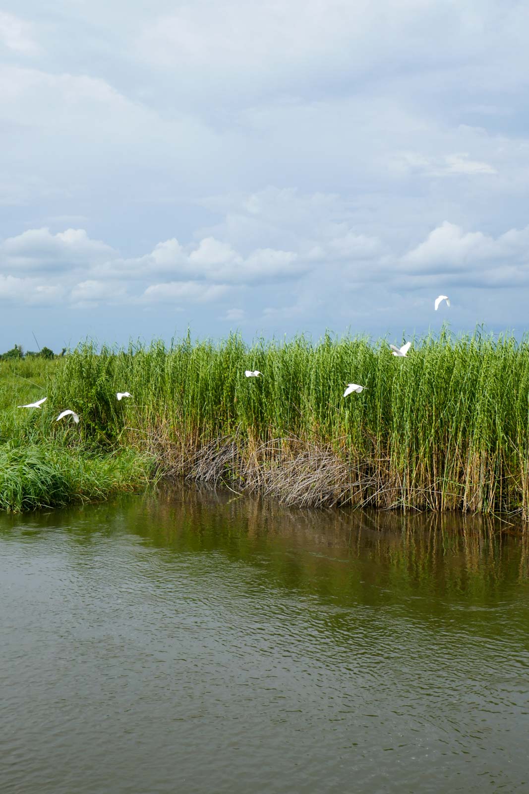 Sur le canal de Kasaya © PG