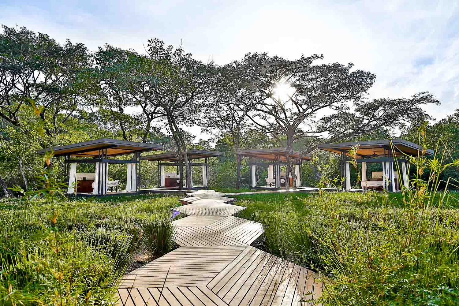 Un lodge au milieu de la mangrove.