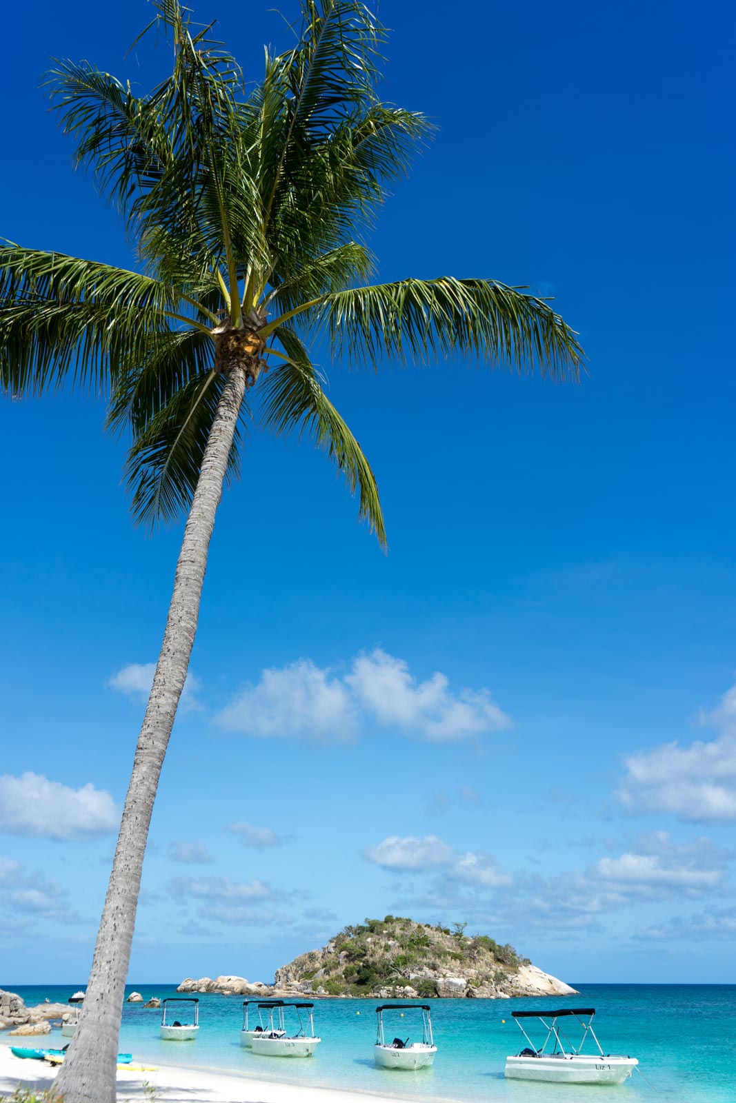 Lizard Island