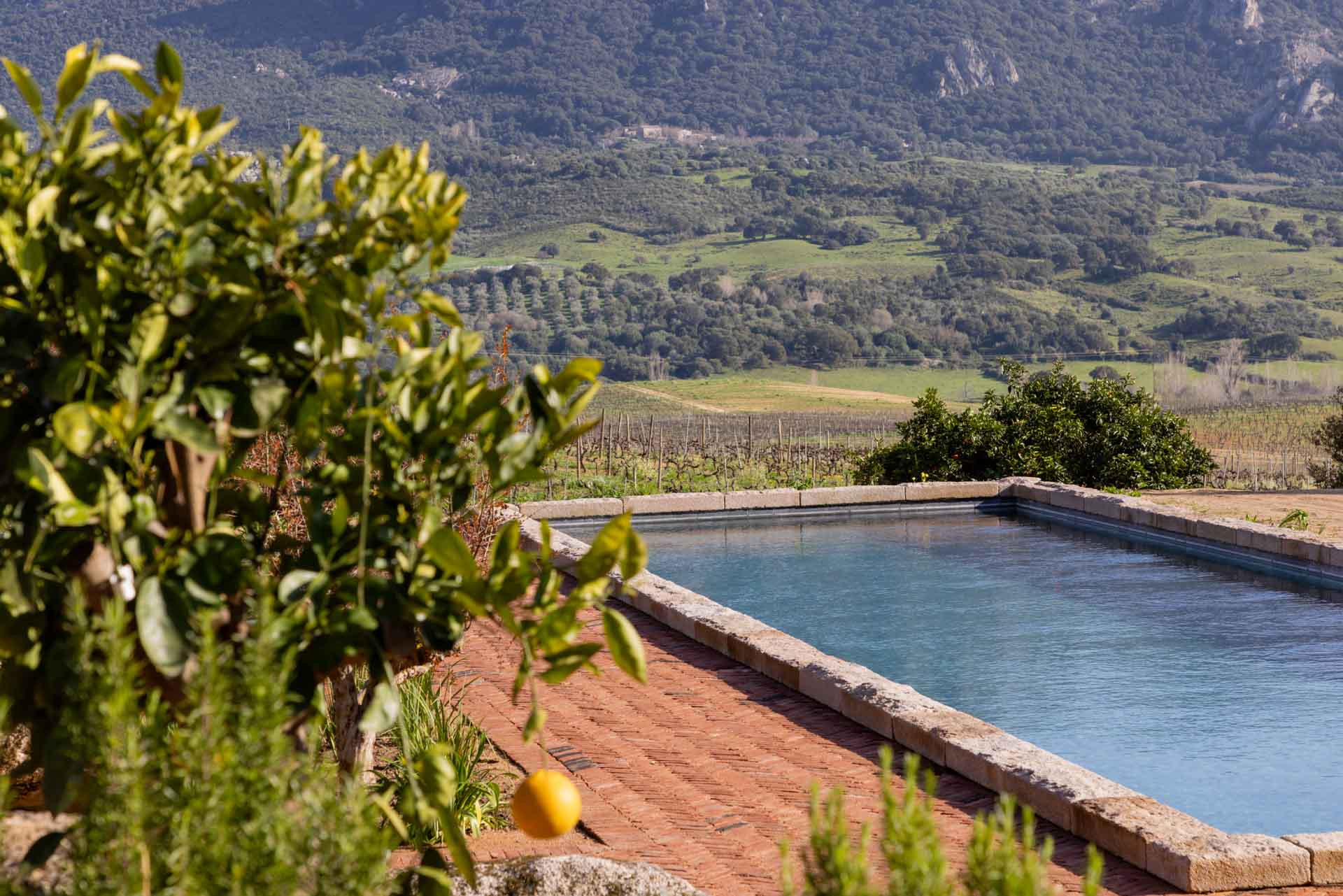 Piscine Hameau de Saparale ©SylvainAlessandri 
