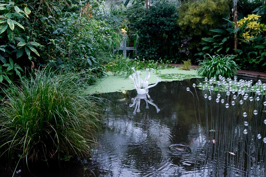 03. Se réchauffer dans les spectaculaires serres du Royal Botanic Garden