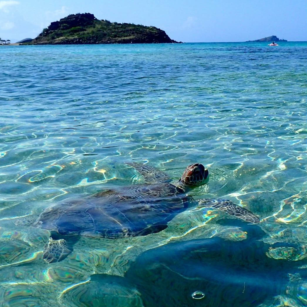 Une croisière dans le triangle d’or des Antilles © Catlante
