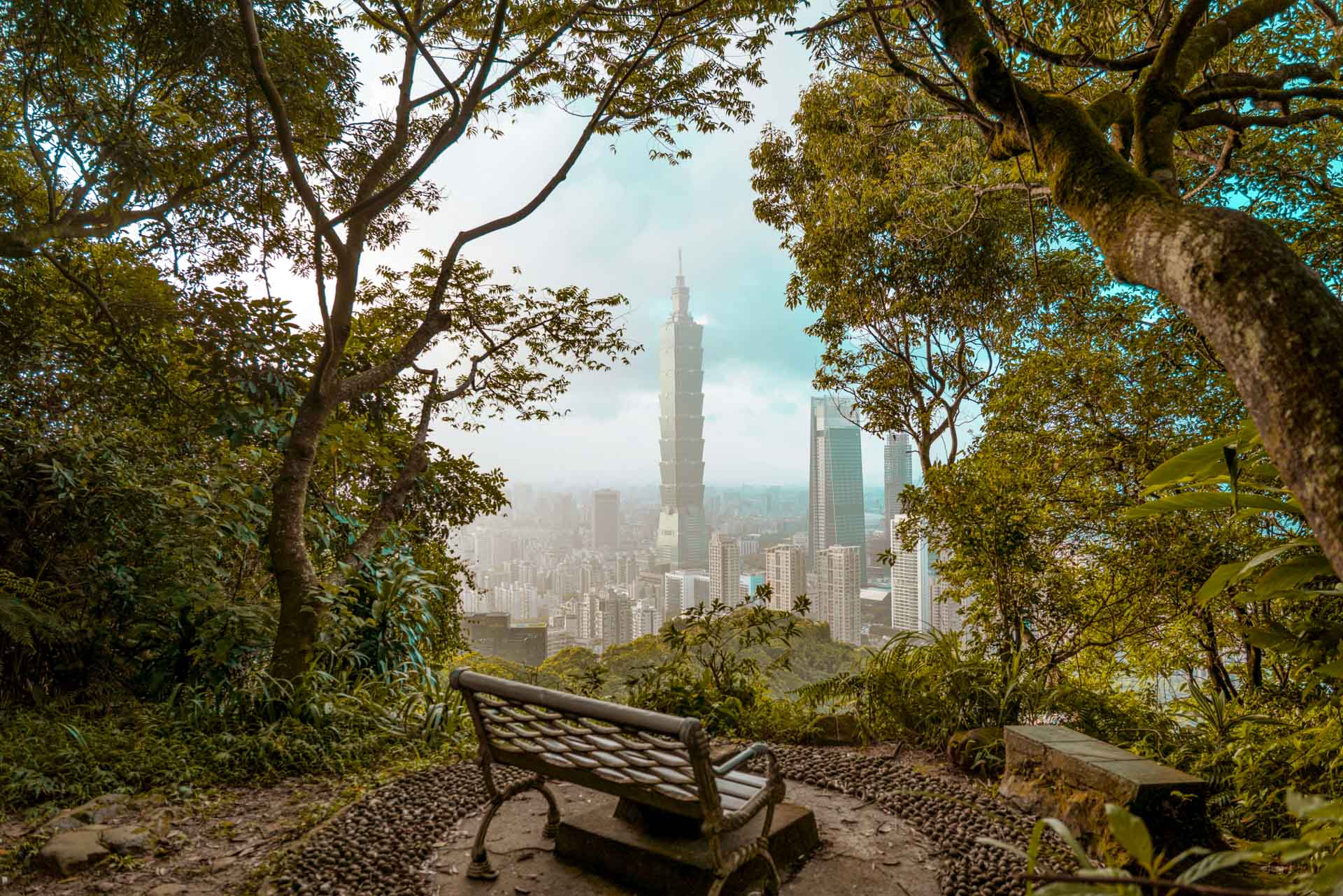 Un road trip à Taiwan dans les montagnes