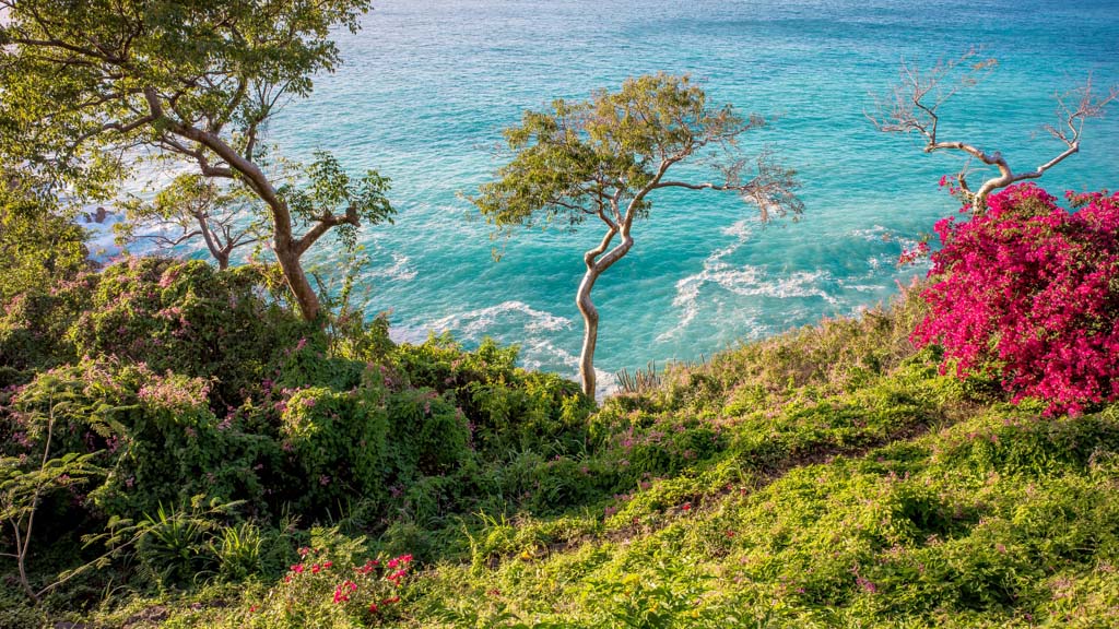 Cette île privée de 350 hectares dévoile des paysages sublimes et une nature luxuriante