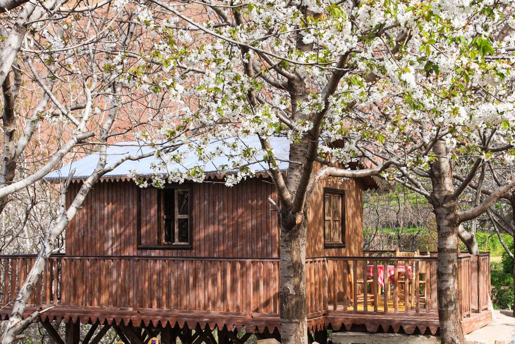 La très récente Tree House | © Douar Samra