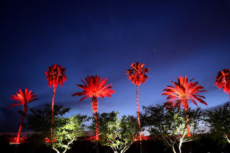 Des palmiers colorés, Coachella