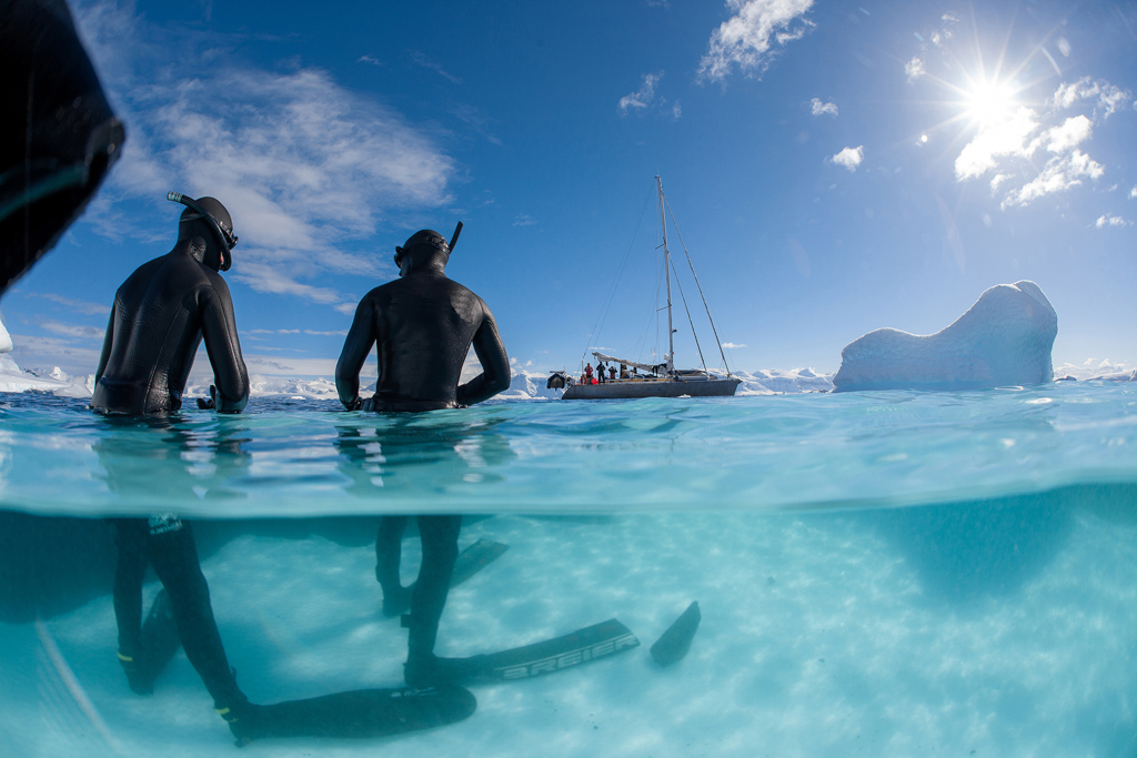 Des apnéistes se préparent à plonger dans les eaux glacées d’Antarctique