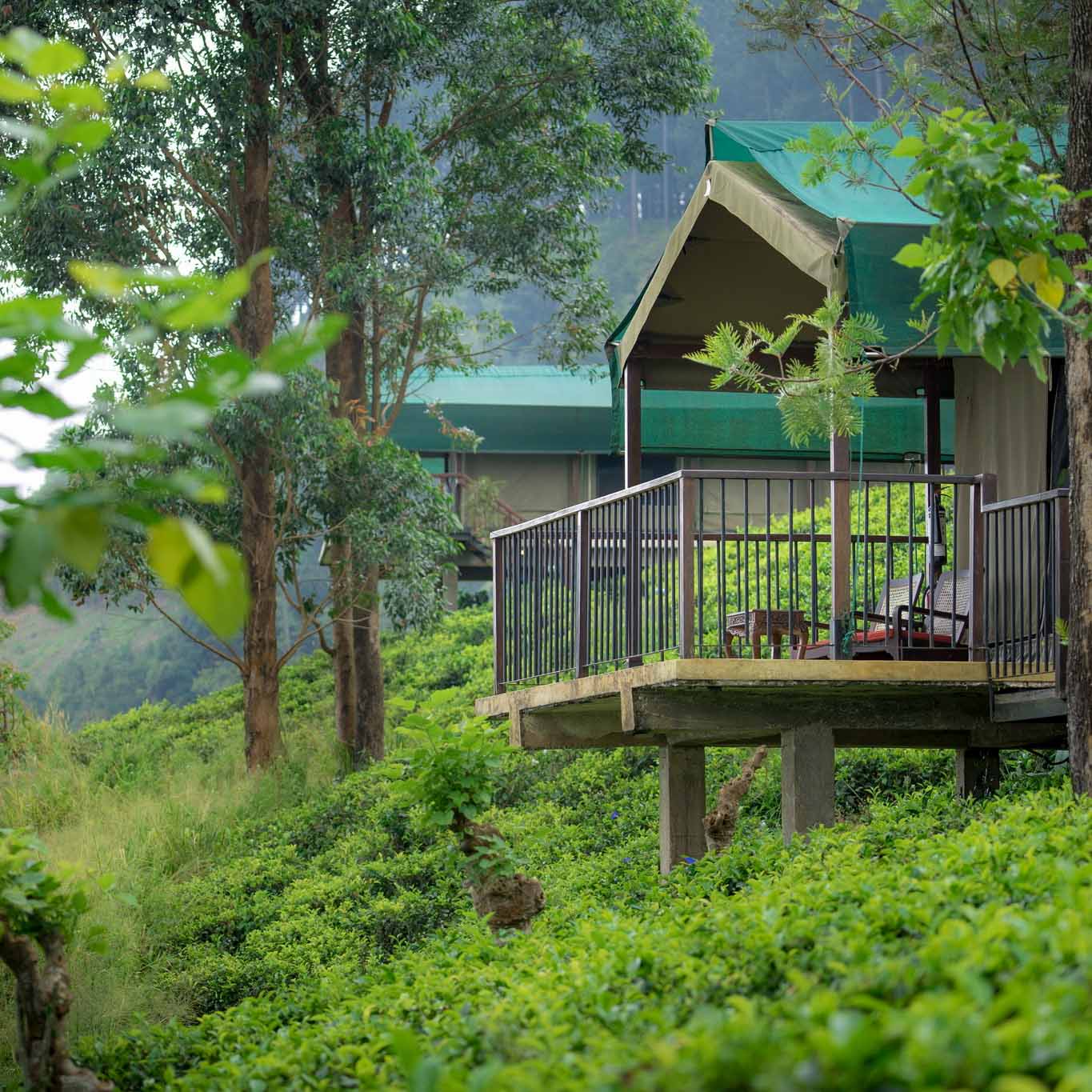 © Madulkelle Tea and Eco Lodge