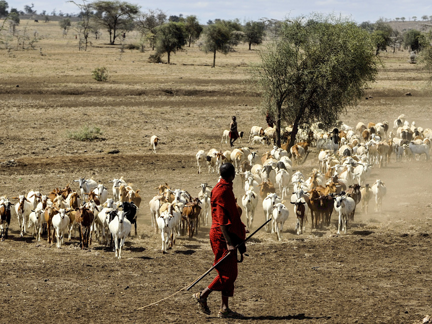 Tanzanie - Rencontre avec les Massaï © DR