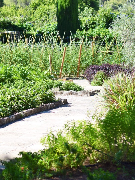 Le potager de l’hôtel 5 étoiles en Provence © Baumanière
