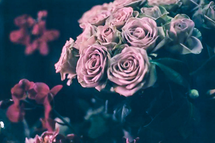 Rambert Rigaud, l’incontournable | YONDER