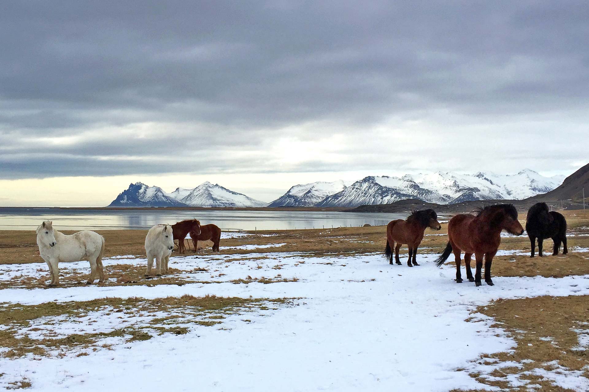 Un aperçu du site où ouvrira le Six Senses Össurá Valley en Islande en 2022 © DR Un aperçu du site où ouvrira le Six Senses Össurá Valley en Islande en 2022 © DR