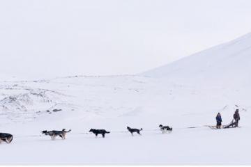 En traîneau dans la vallée de Bolterdalen.