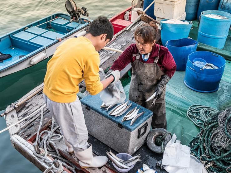 Les marchands et restaurateurs viennent s'approvisionner directement sur les bateaux 