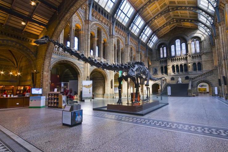 Natural History Museum - Le hall accueillant les squelettes de dinosaures