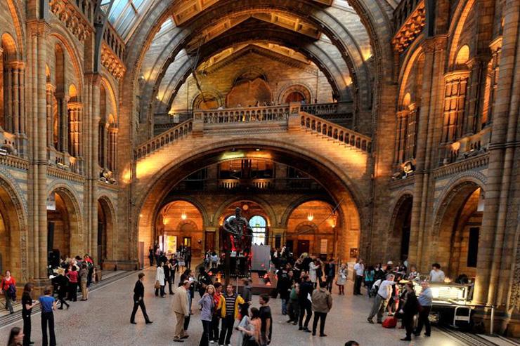 Natural History Museum - Hall d'accueil