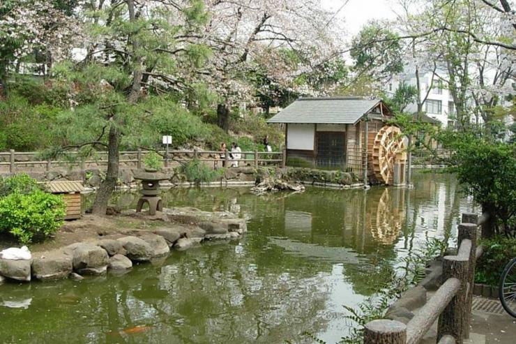 Le très tranquille Shoto Park dans le quartier éponyme