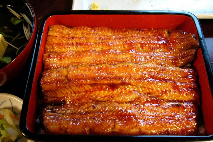 Plat d'anguille (unagi) servi au Obana