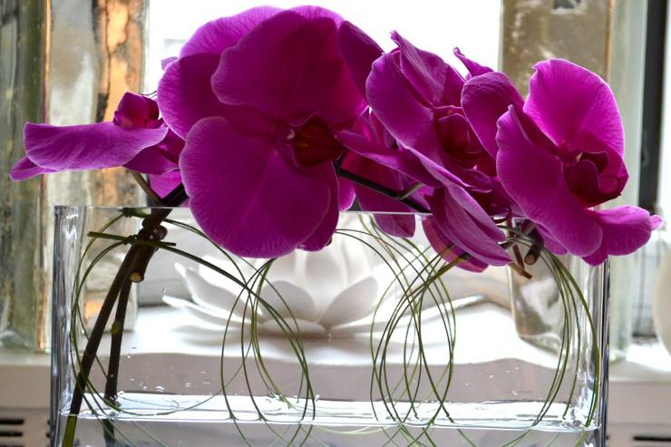 Orchids on Ice : une composition florale signature de Sandra de Ovando