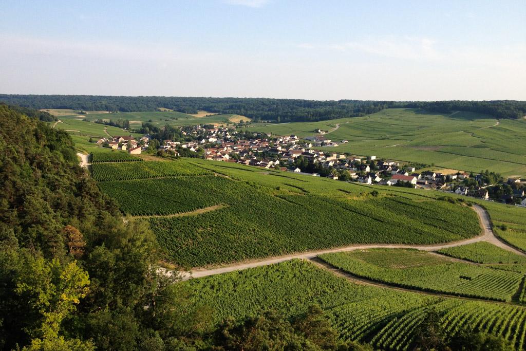 Vue des vignes à Grauves, au sud d’Épernay : un spot idéal pour pique-niquer © Made in Champagne