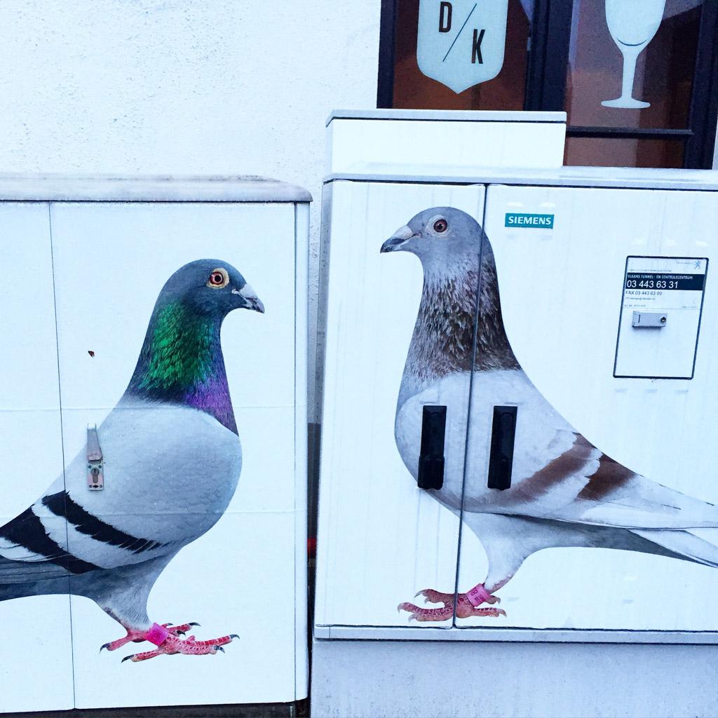 Pigeons façon street art devant la Brasserie De Koninck (les volatiles sont l’emblème de la marque de bière) © Yonder.fr