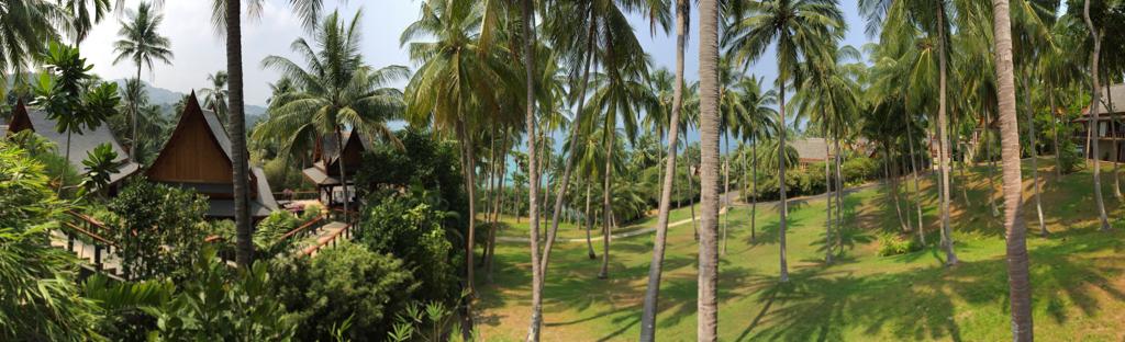 Vue panoramique sur la cocoteraie et l’océan depuis la sala du pavillon 404 | © Yonder.fr