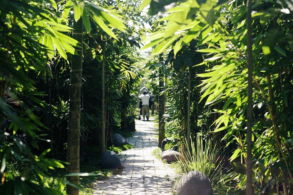Bienvenue au Bisma Eight, un boutique-hôtel parfaitement intégré dans la nature luxuriante d’Ubud à Bali
