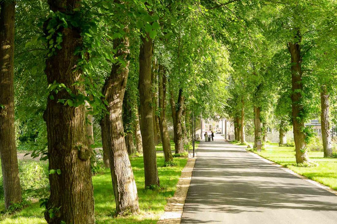 Hyatt Regency Chantilly est situé dans un parc de 17 hectares au cœur de la forêt domaniale du Château de Chantilly