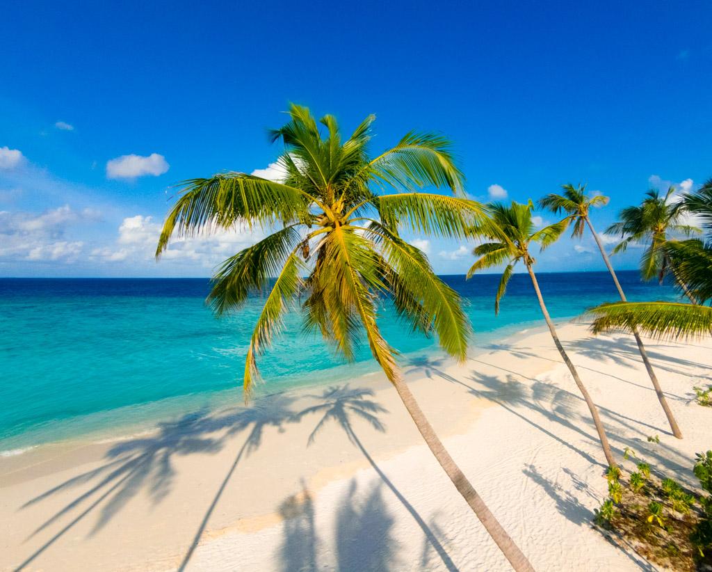 Inauguré en novembre 2016, le Milaidhoo est l’un des derniers nés des resorts de très grand luxe de l’archipel des Maldives