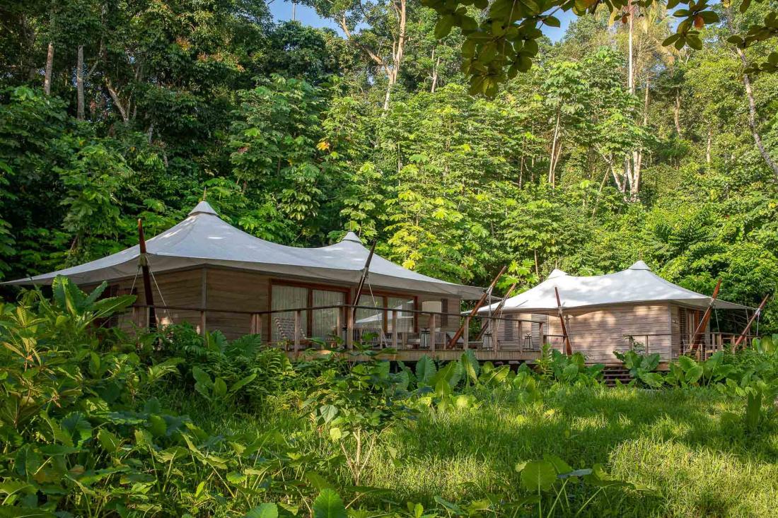 Les luxueux bungalows s’intègrent parfaitement dans la nature environnante
