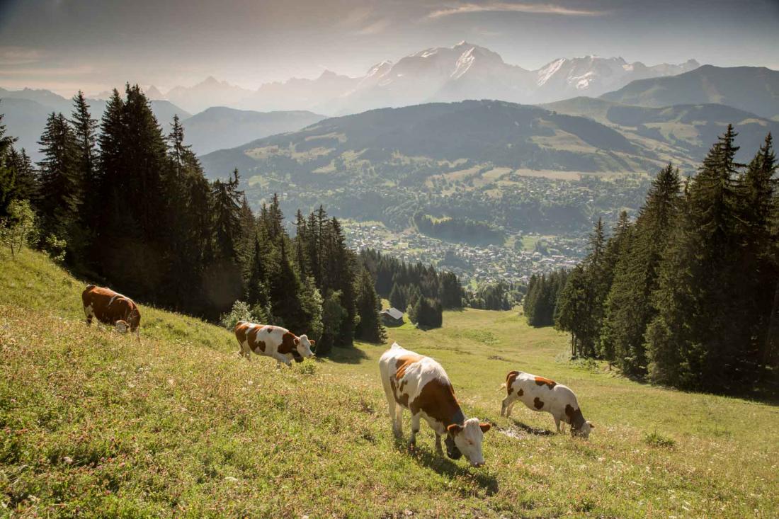 Ainsi, l’établissement a été imaginé pour profiter de Megève l’hiver mais également l’été