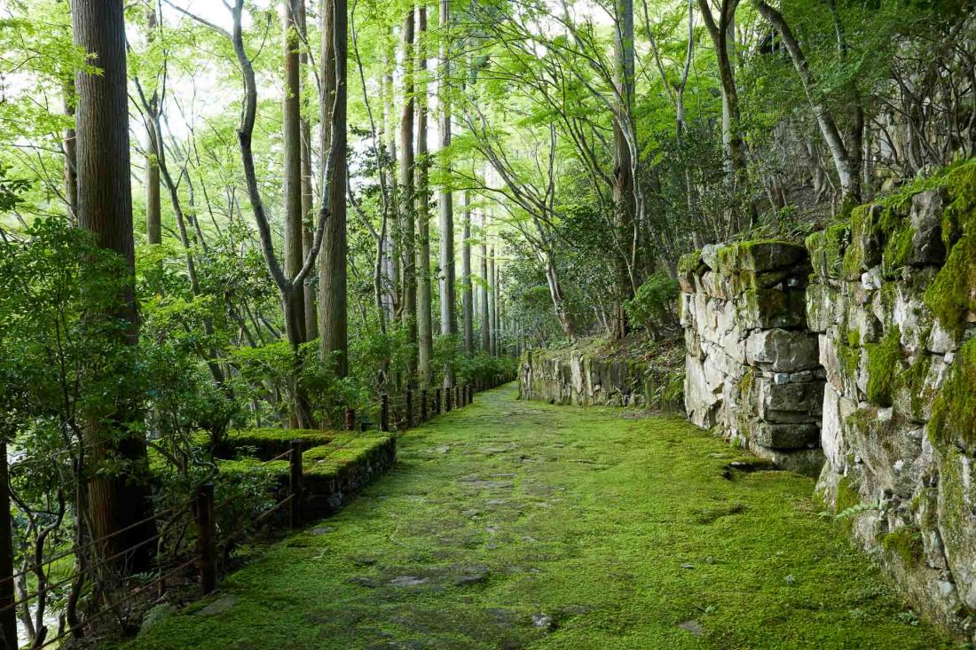 Enfin, Aman Kyoto permet de profiter de la quiétude de trois hectares de jardins, eux-mêmes entourés de près de 30 hectares de forêt