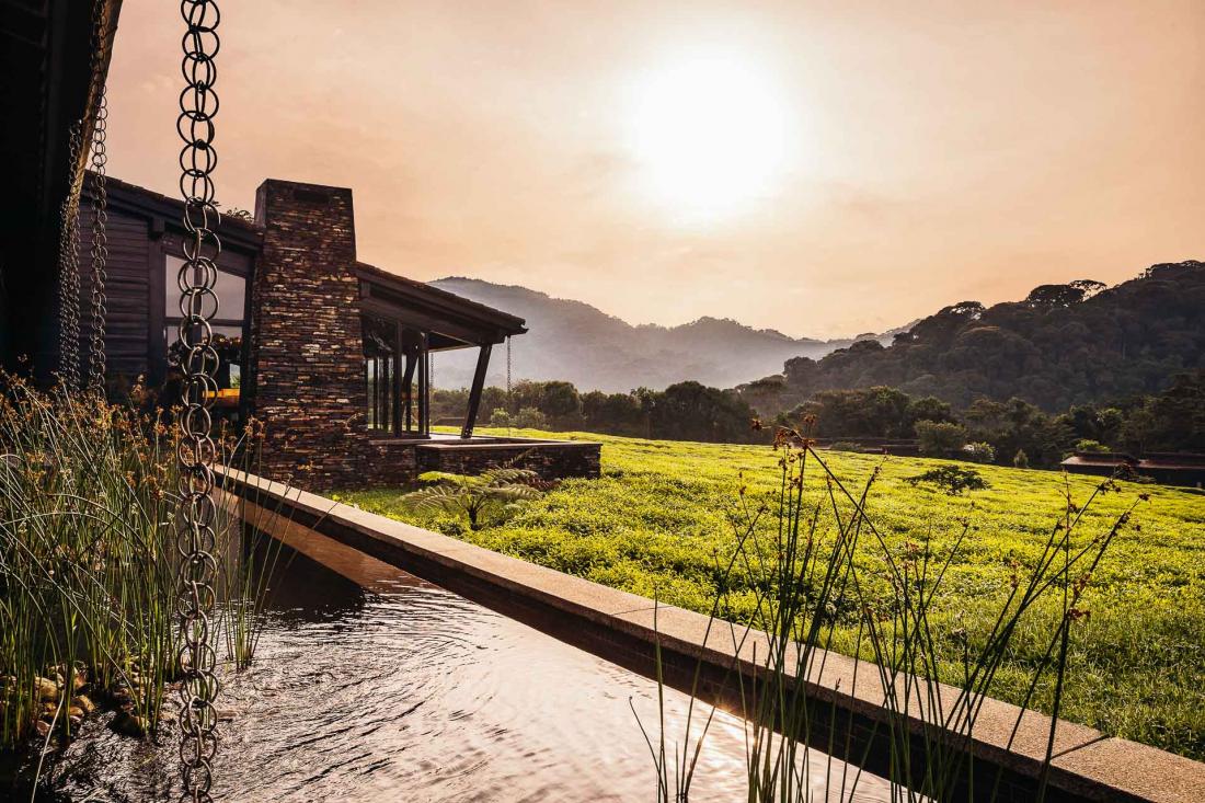 Un séjour au One&Only Nyungwe House permet de découvrir des endroits que peu ont visité avant eux, promettant une aventure unique et des expériences authentiques à découvrir sur place.