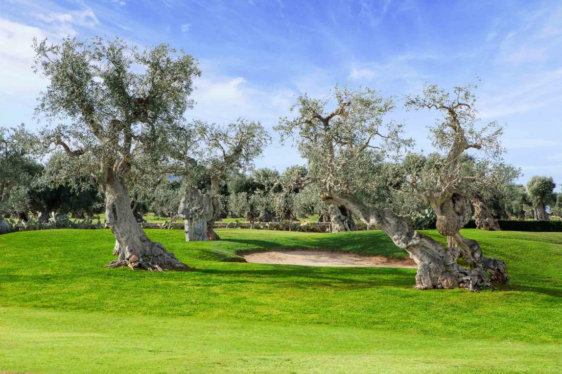 Le golf 9 trous ravira les passionnés de nature et de détente dans un cadre magnifique.