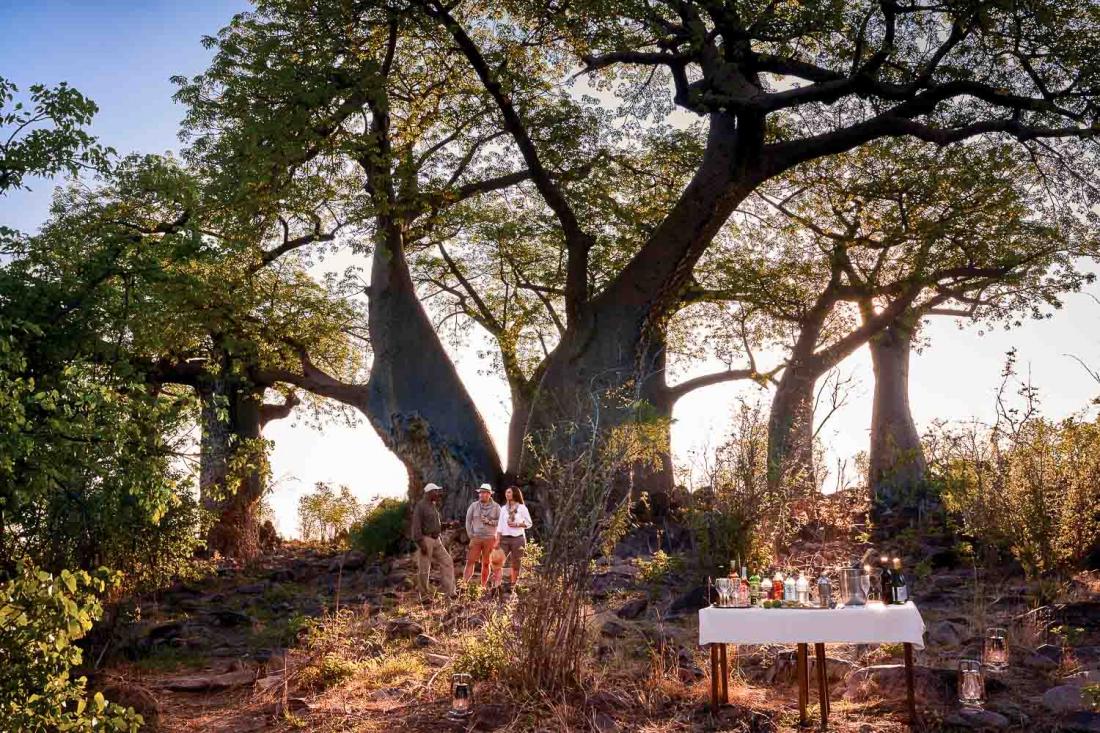 Un diner sous les étoiles qui mixe les influences africaines pour clore une journée de safari.