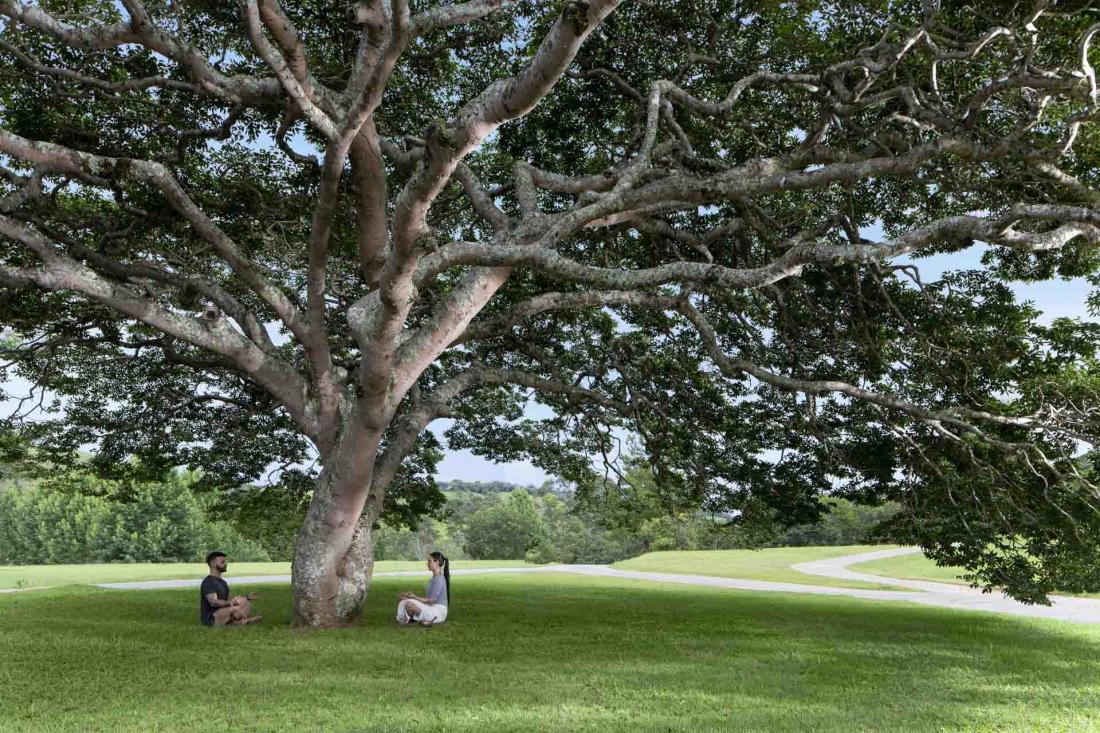 La nature qui entoure l’hôtel est propice à des activités multiples en plein air