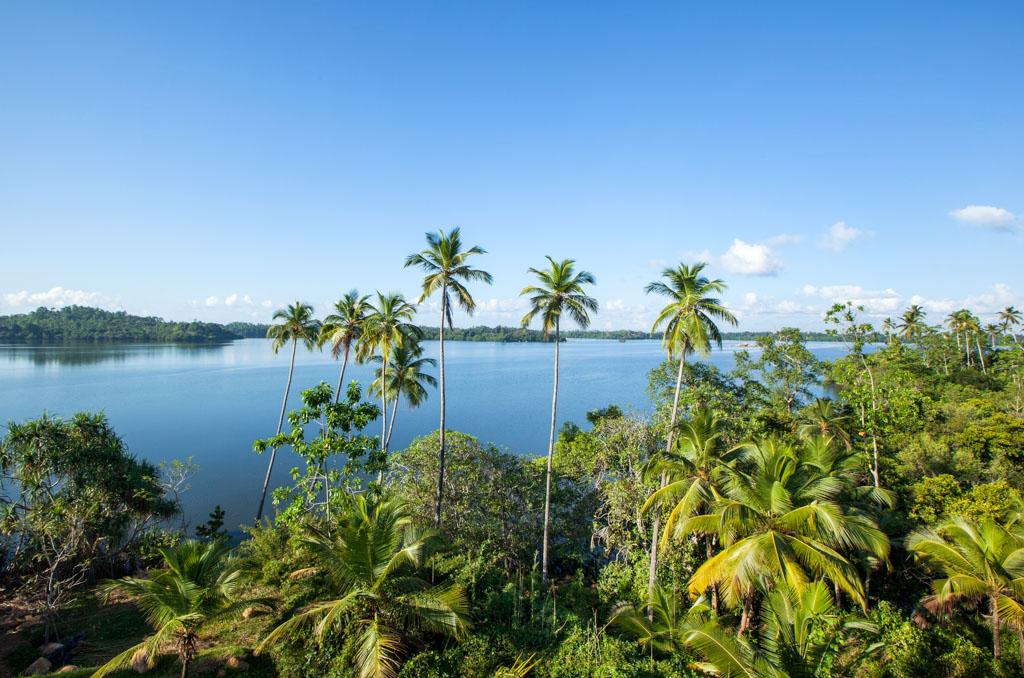 Tout autour, les paysages sauvages du sud du Sri Lanka