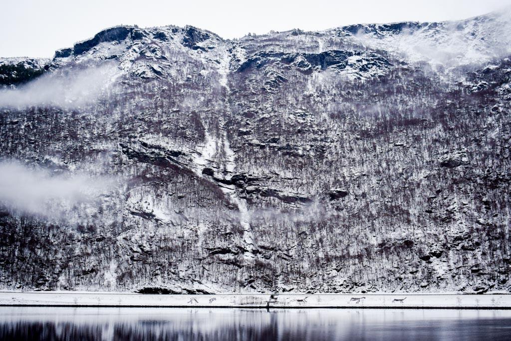 ... alors que les paysages sont toujours aussi grandioses, de part et d’autre du fjord