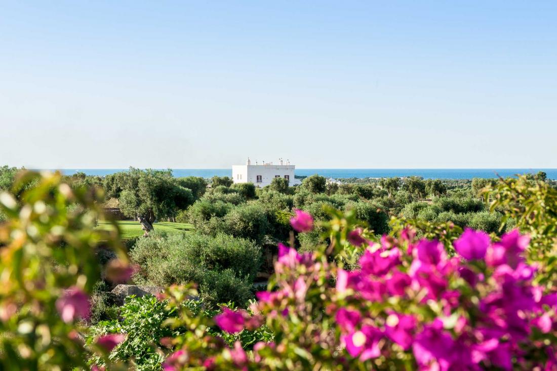 Masseria Torre Maizza - Extérieur