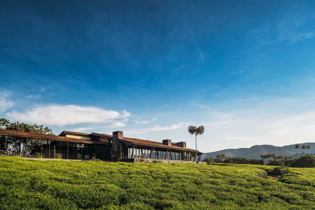 Le bâtiment central, abritant le lobby, le spa et le restaurant est comme posé au milieu de la jungle.